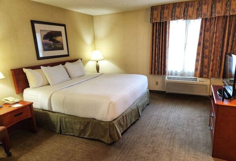 스위트 킹사이즈 침대, La Quinta By Wyndham Appleton College Avenue