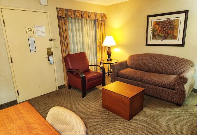 스위트 킹사이즈 침대, La Quinta By Wyndham Appleton College Avenue