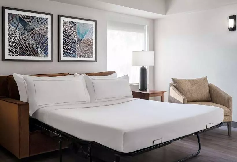 ジュニアスイート, The Alloy King Of Prussia   A Doubletree By Hilton