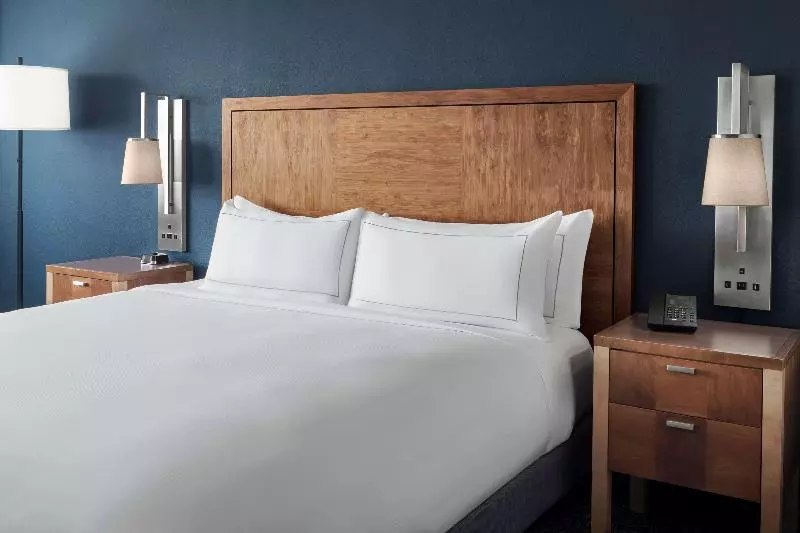 キングサイズベッドのスイートルーム, The Alloy King Of Prussia   A Doubletree By Hilton