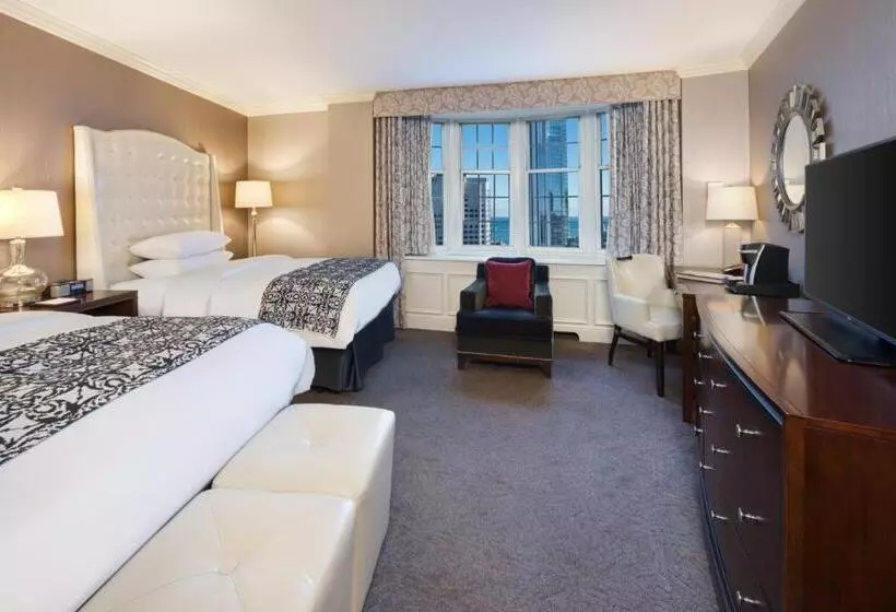 اتاق استاندارد با 2 تخت دوبل, The Pfister