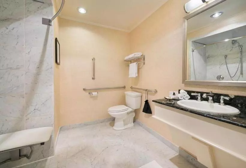 اتاق استاندارد با تخت بزرگ برای معلولان, The Pfister