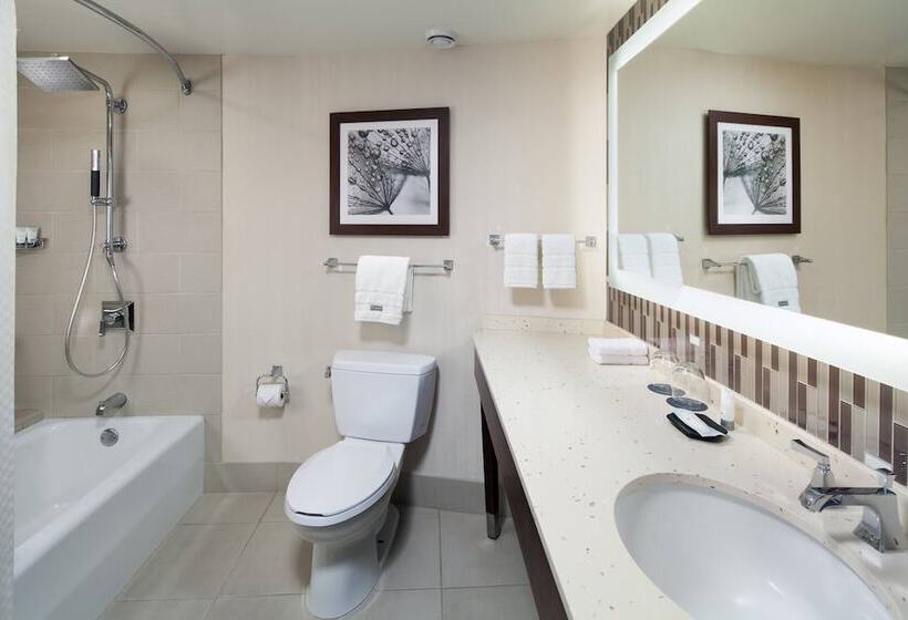 Номер Deluxe Вид на Город, The Westin Seattle