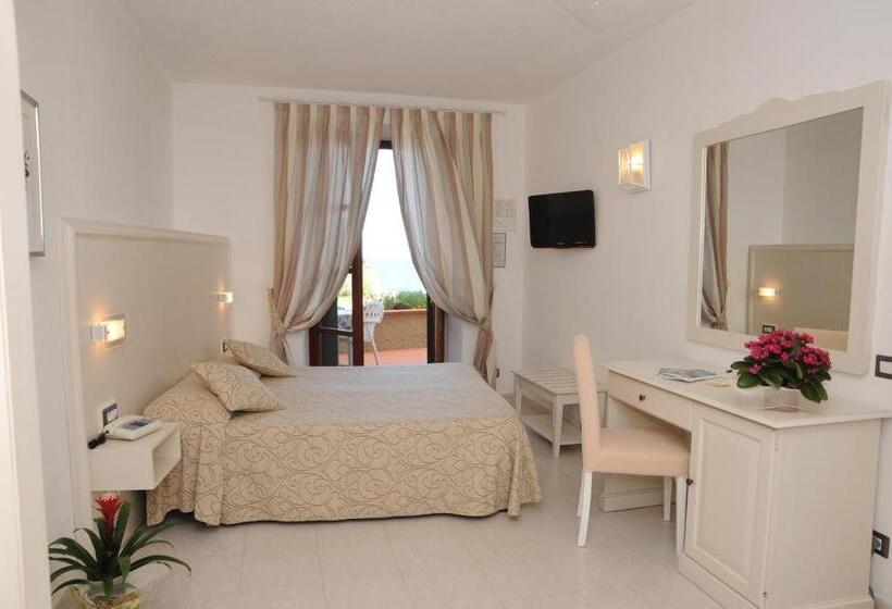 غرفة قياسية مطلّة علي البحر, Barsalini