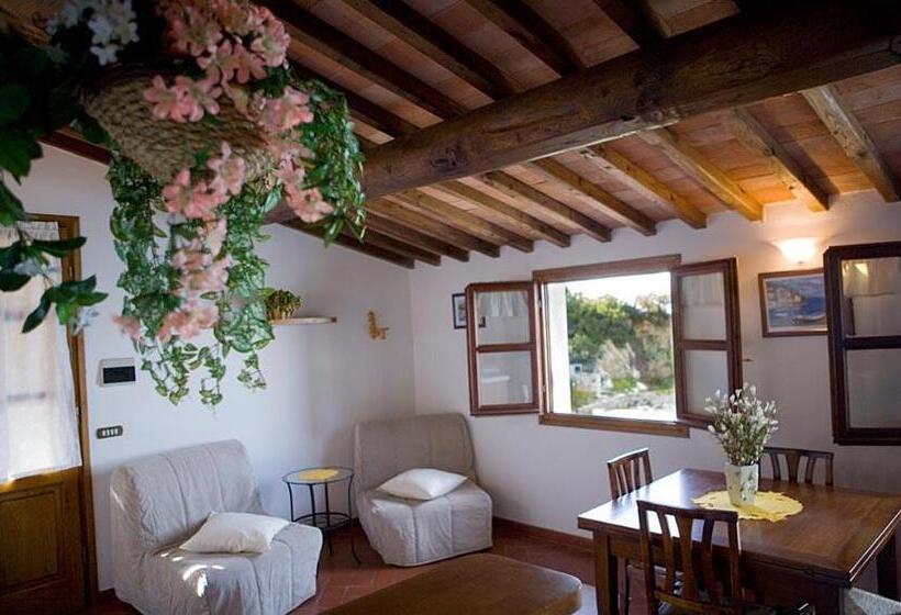 جناح مطلّ علي البحر, Barsalini