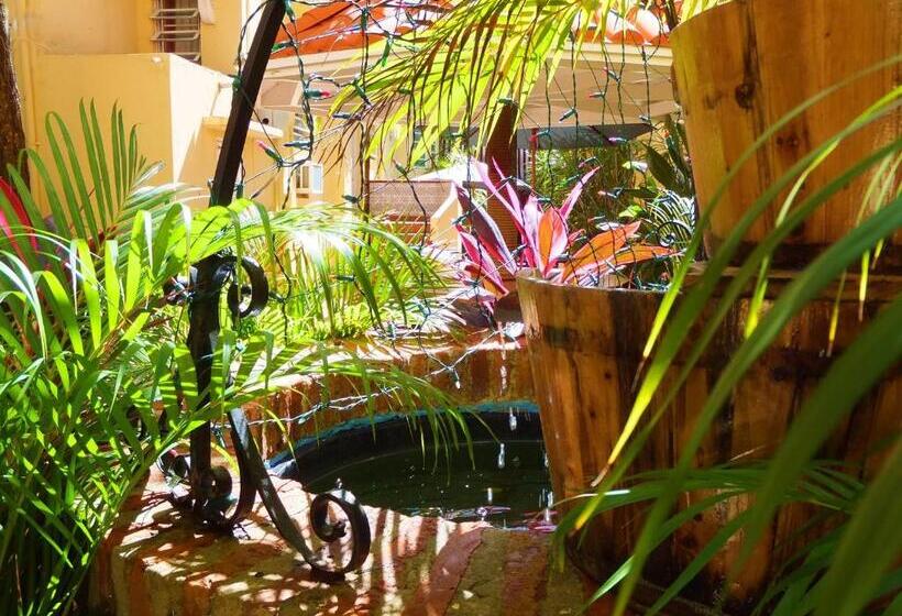 اتاق استاندارد با تخت بزرگ, Canario Boutique