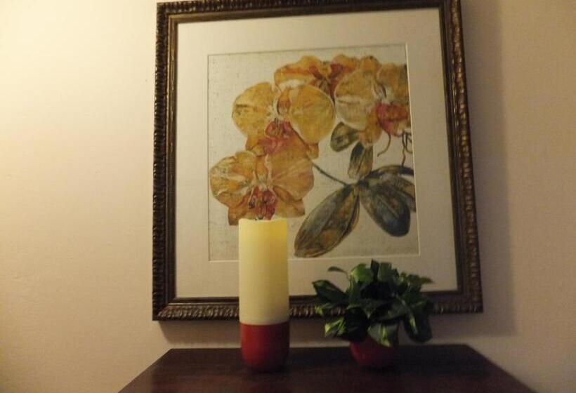 اتاق استاندارد, Canario Boutique