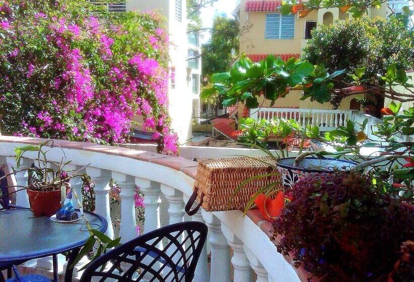 اتاق پرمیوم, Canario Boutique