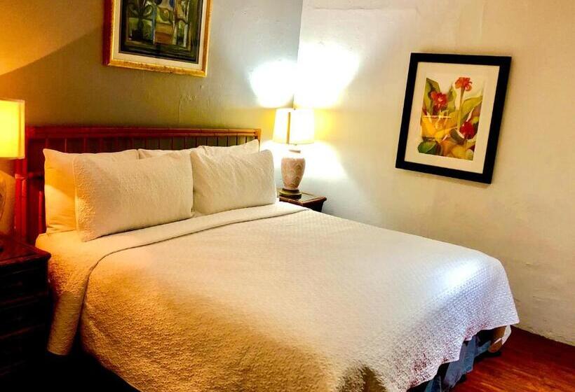 اتاق پرمیوم, Canario Boutique