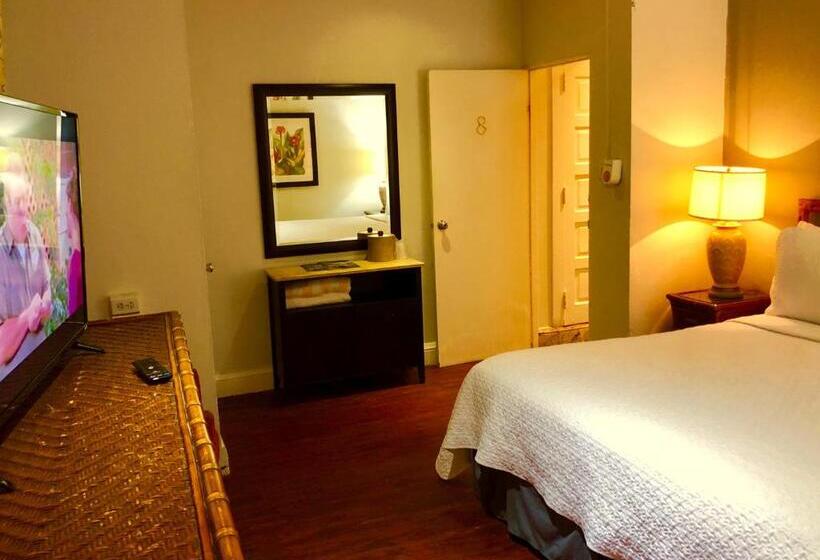 اتاق پرمیوم, Canario Boutique