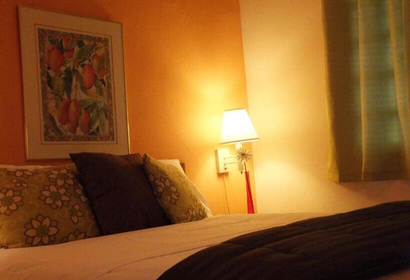 اتاق اکونومی, Canario Boutique