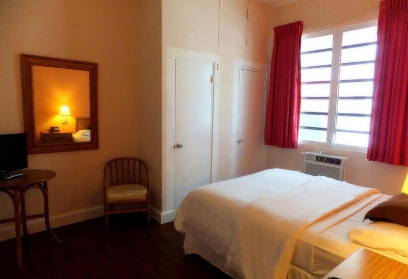 اتاق اکونومی, Canario Boutique