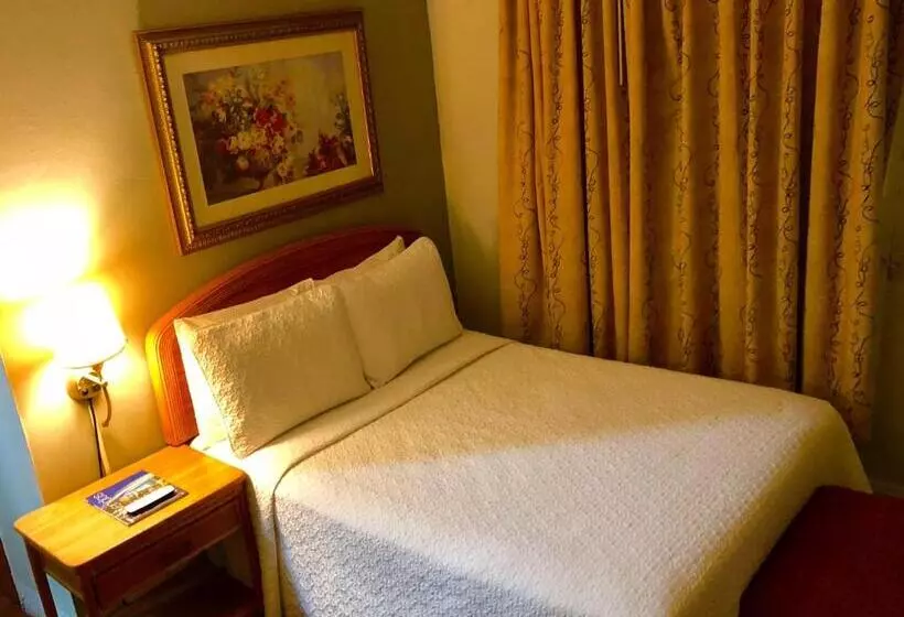 اتاق اکونومی, Canario Boutique