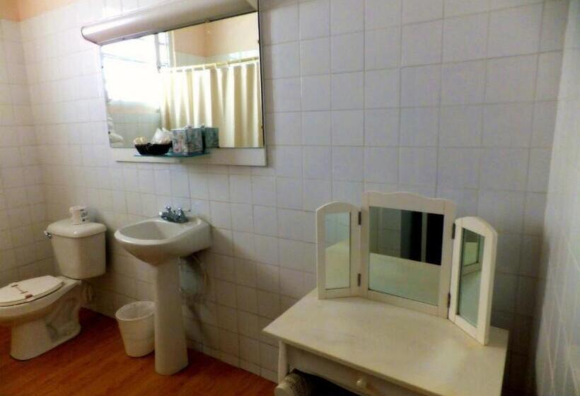 اتاق اکونومی, Canario Boutique