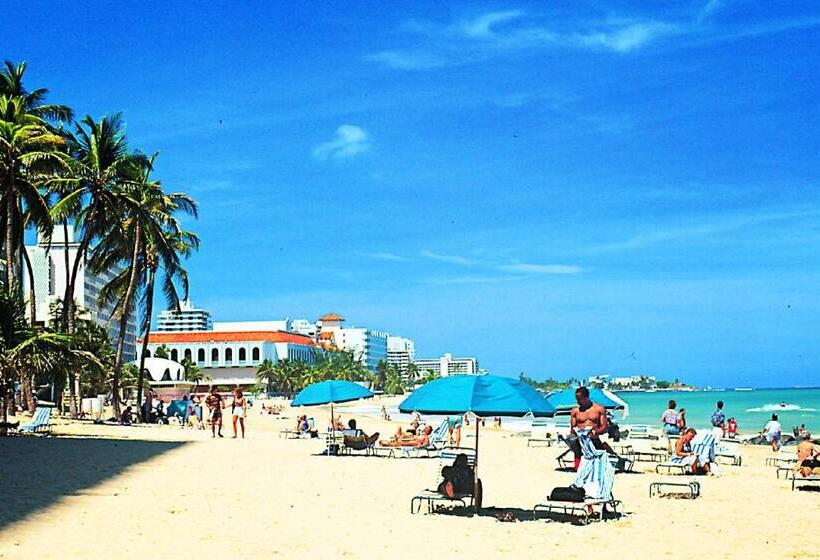 اتاق استاندارد با تخت بزرگ, Canario Boutique