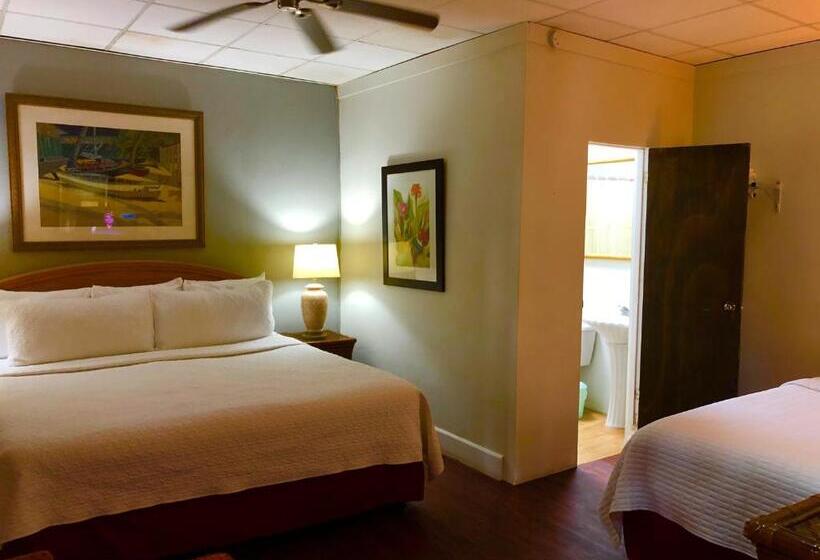 اتاق پرمیوم, Canario Boutique