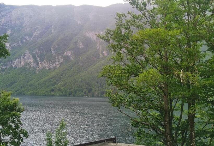 اتاق استاندارد, Hostel Pod Voglom