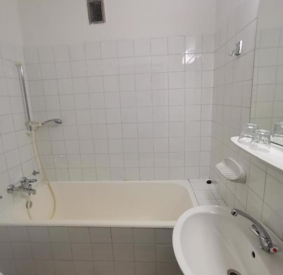 اتاق استاندارد یک نفره, Hostel Pod Voglom