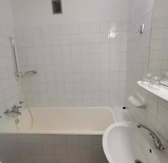 اتاق استاندارد یک نفره, Hostel Pod Voglom