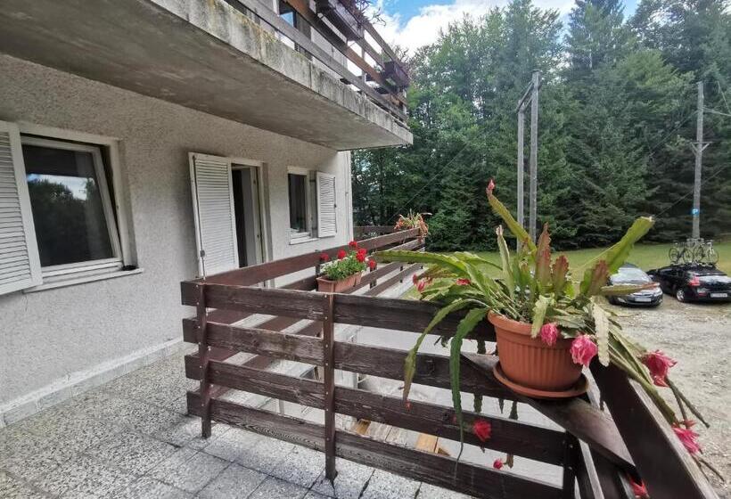 اتاق استاندارد یک نفره, Hostel Pod Voglom