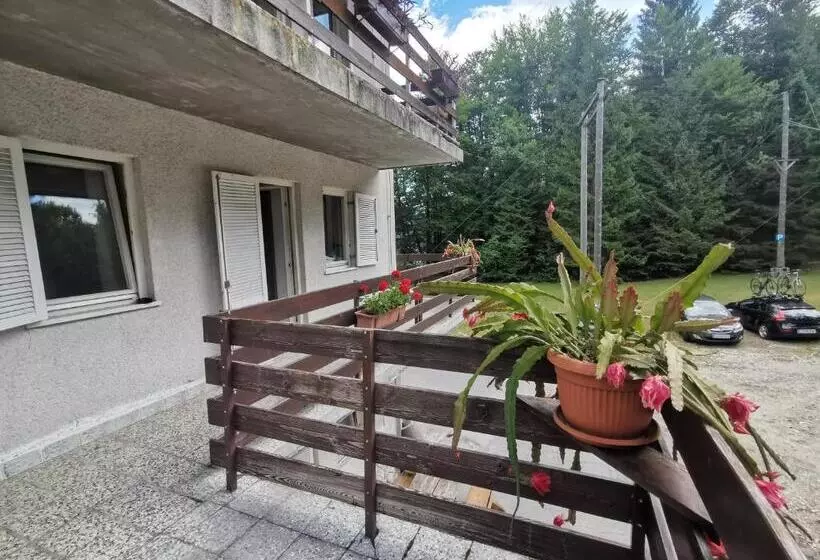 اتاق استاندارد یک نفره, Hostel Pod Voglom