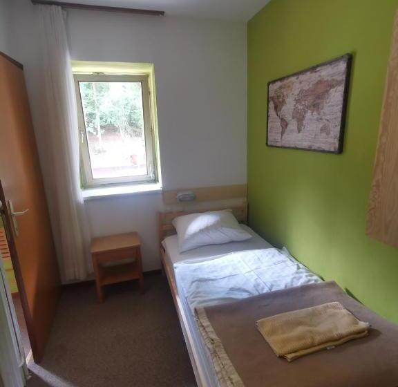 اتاق استاندارد یک نفره, Hostel Pod Voglom