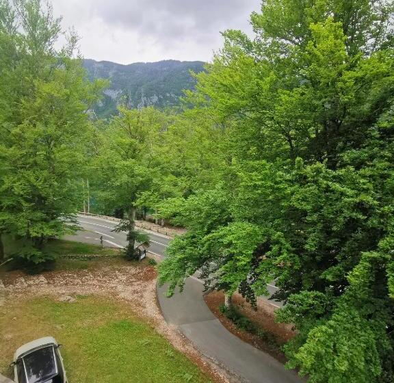 اتاق استاندارد سه نفره, Hostel Pod Voglom