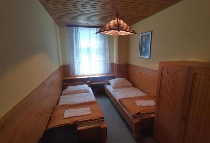 اتاق استاندارد با سرویس بهداشتی مشترک, Hostel Pod Voglom