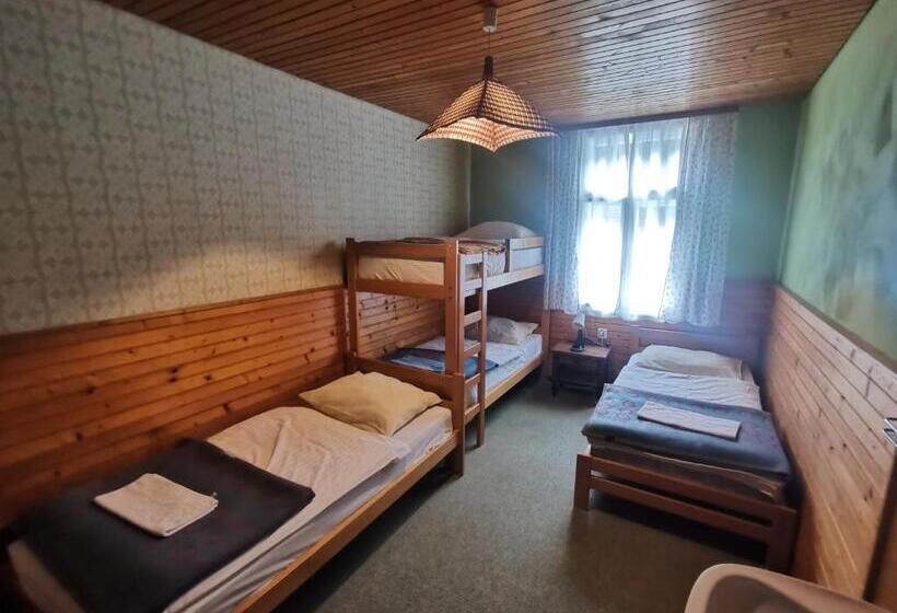 اتاق استاندارد سه تخته با سرویس بهداشتی مشترک, Hostel Pod Voglom