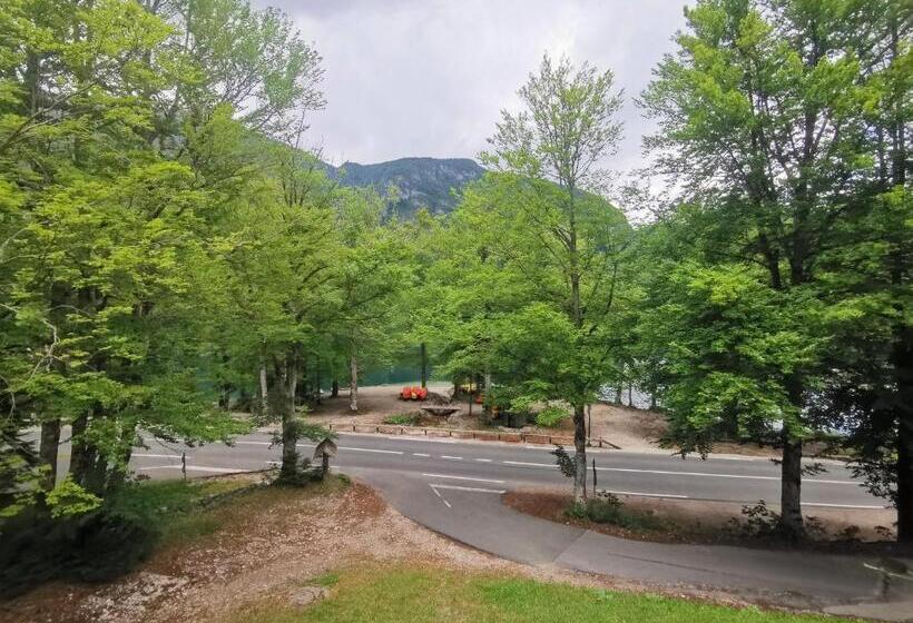 اتاق استاندارد چهار تخته, Hostel Pod Voglom