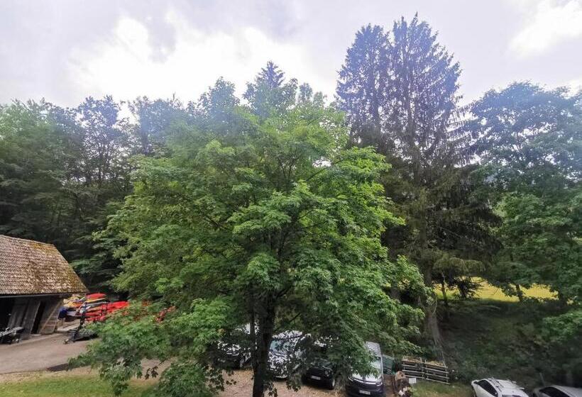 اتاق استاندارد چهارنفره با سرویس بهداشتی مشترک, Hostel Pod Voglom