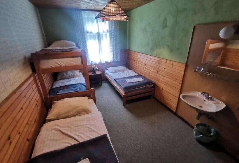 اتاق استاندارد چهارنفره با سرویس بهداشتی مشترک, Hostel Pod Voglom