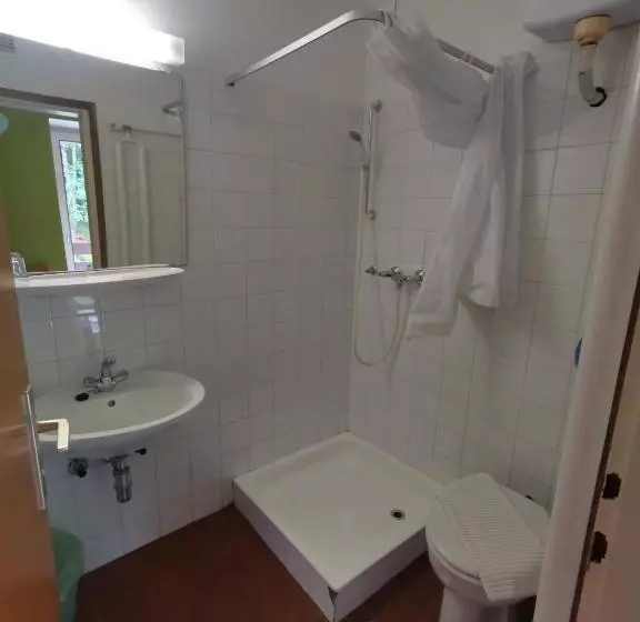 اتاق استاندارد یک تخته با سرویس بهداشتی مشترک, Hostel Pod Voglom