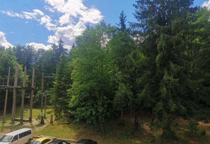 اتاق استاندارد یک تخته با سرویس بهداشتی مشترک, Hostel Pod Voglom