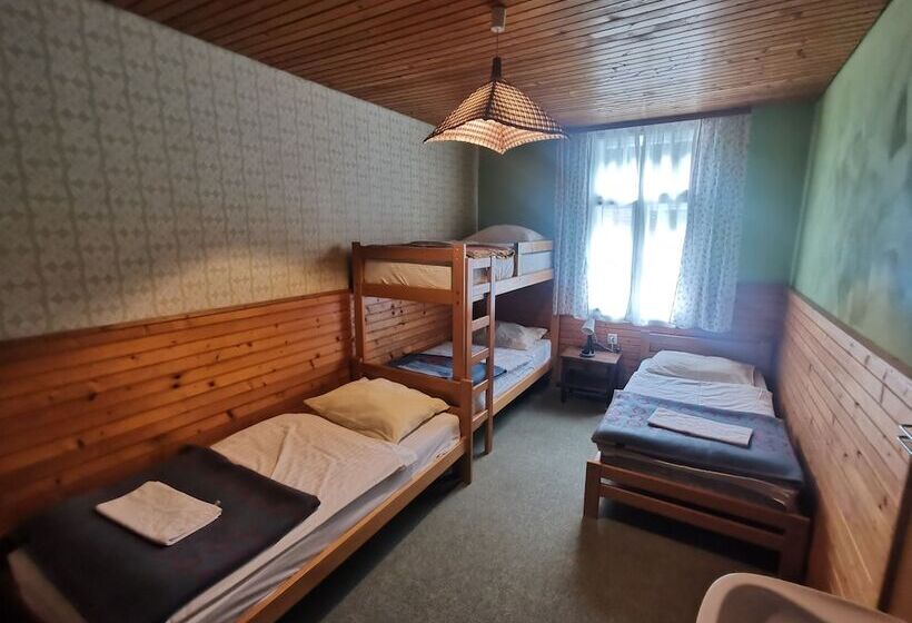 اتاق استاندارد چهارنفره با سرویس بهداشتی مشترک, Hostel Pod Voglom