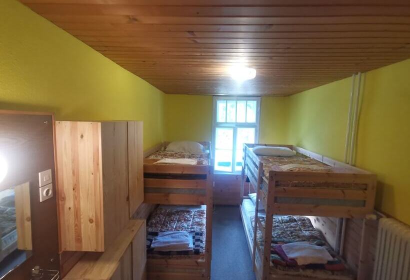 اتاق استاندارد چهارنفره با سرویس بهداشتی مشترک, Hostel Pod Voglom