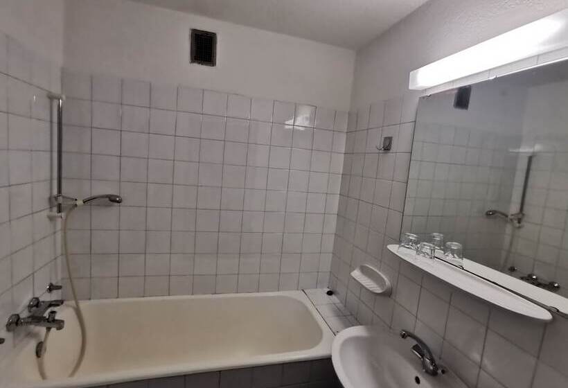 اتاق استاندارد یک نفره, Hostel Pod Voglom