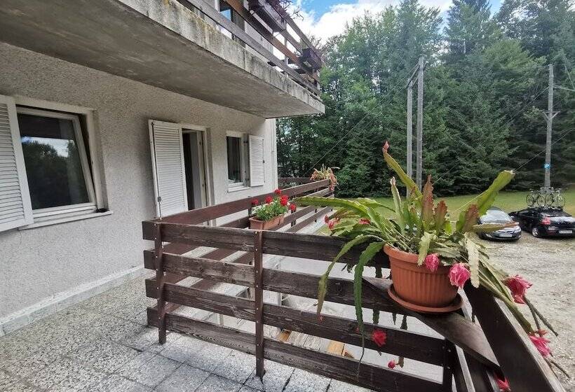 اتاق استاندارد یک نفره, Hostel Pod Voglom
