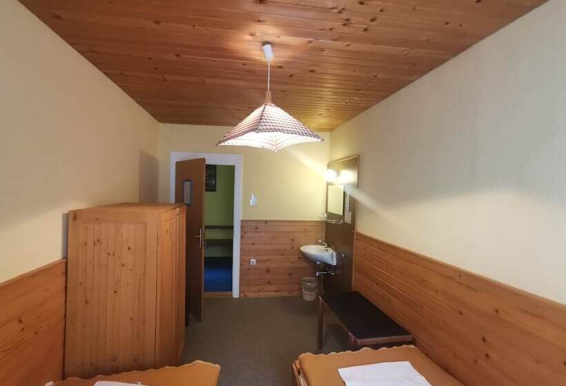 اتاق استاندارد با سرویس بهداشتی مشترک, Hostel Pod Voglom