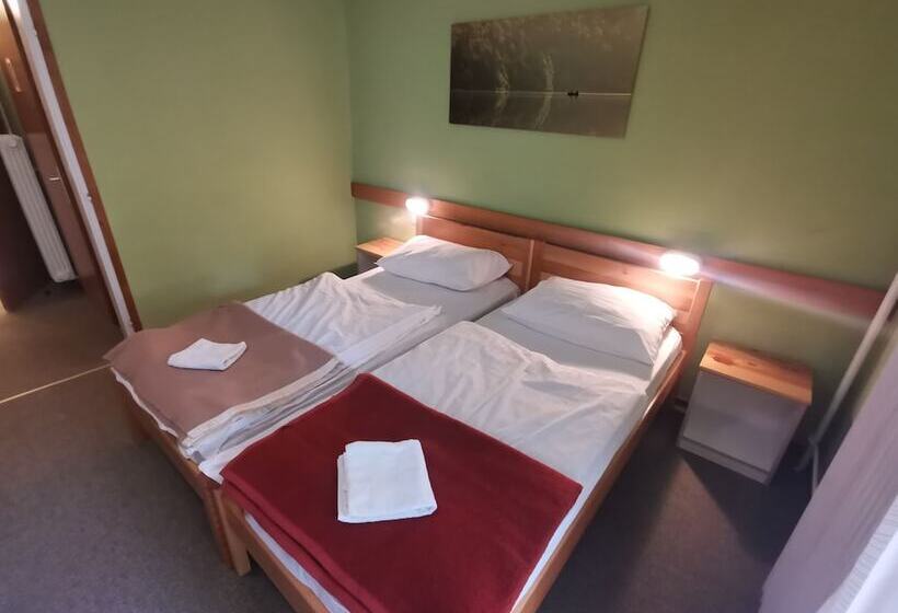 اتاق استاندارد سه نفره, Hostel Pod Voglom