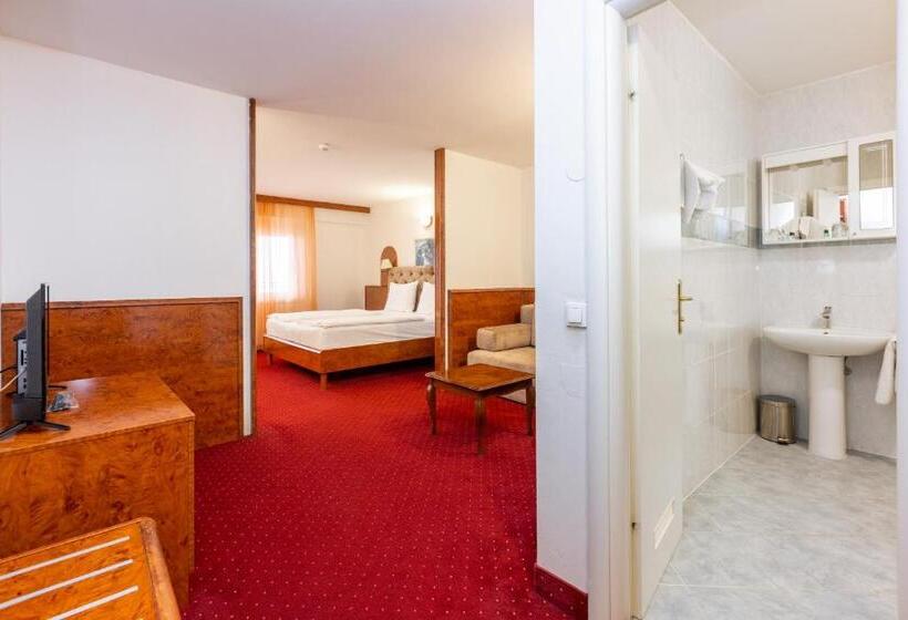 Полулюкс Комфорт, Mediteran Hotel By Aminess