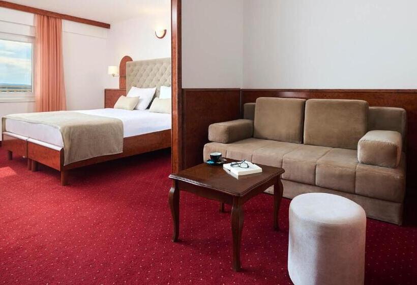 Полулюкс Комфорт, Mediteran Hotel By Aminess