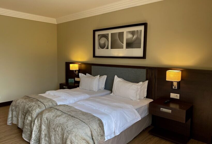 اتاق کلاسیک با چشم‌انداز باغ, Pullman Lubumbashi Grand Karavia