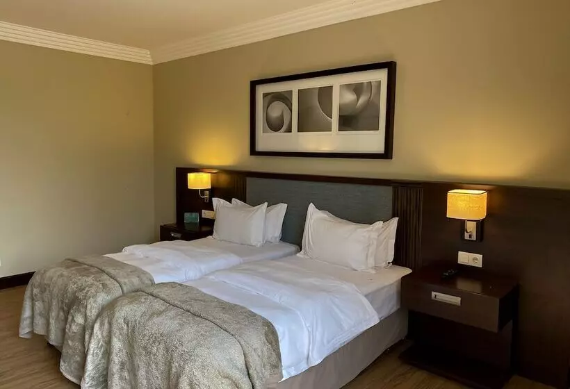 اتاق کلاسیک با چشم‌انداز باغ, Pullman Lubumbashi Grand Karavia