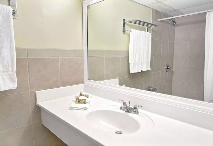 اتاق استاندارد با 2 تخت دوبل, Knights Inn Hallandale