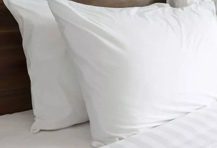اتاق استاندارد با 2 تخت دوبل, Knights Inn Hallandale