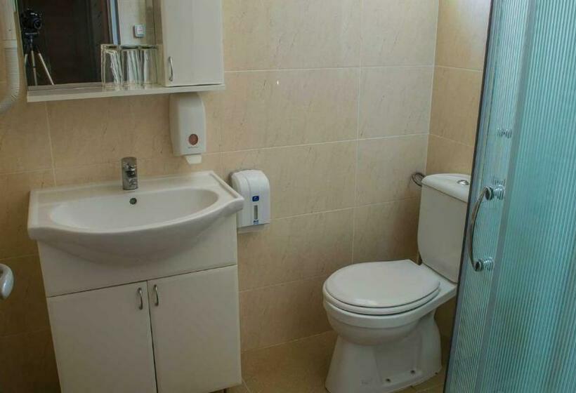 اتاق استاندارد یک نفره, Motel Predejane