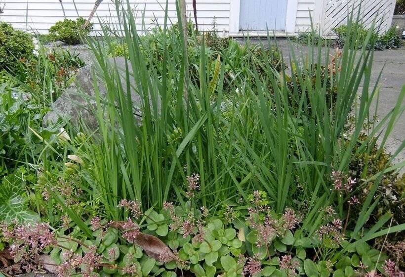 חדר סטודיו סטנדרד, Abbeycourt Motel