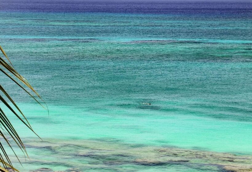 オーシャンビュージュニアスイート, Grand Cayman Marriott Resort