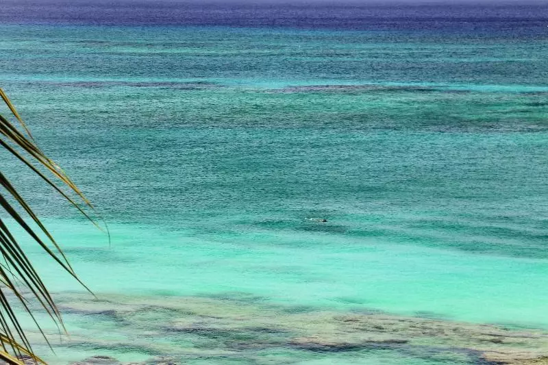 キングサイズベッドのスタンダードルーム, Grand Cayman Marriott Resort